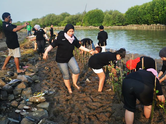 Mangrove Reforestation in Semarang