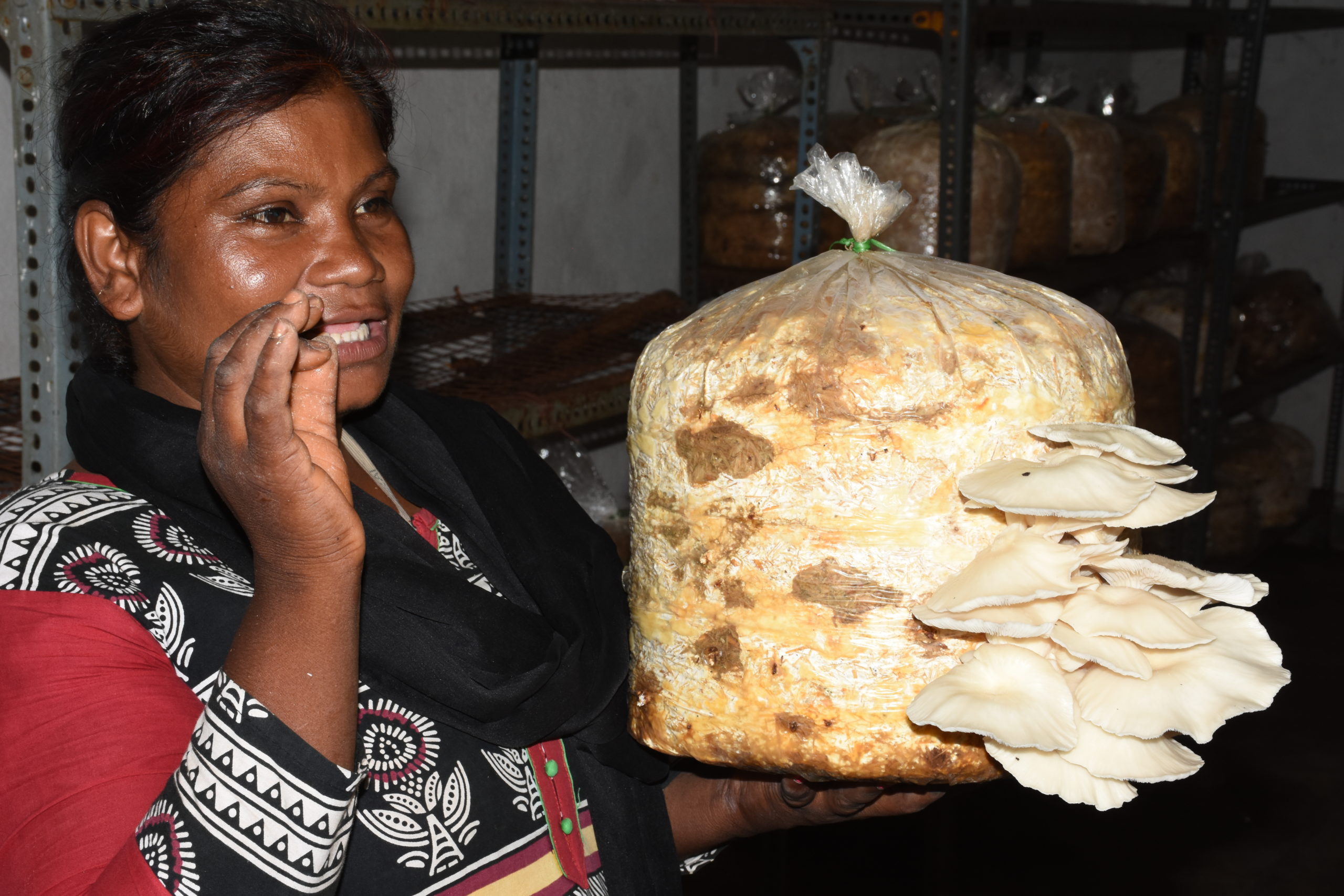 Mushroom farming provides stable income to rural Jharkhand women