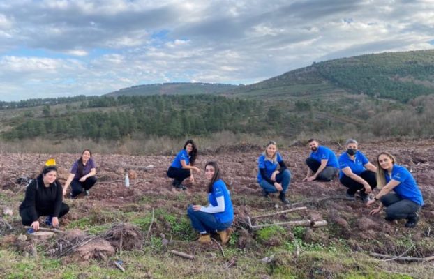 A Thousand Tree Saplings To Bring Forests Back To Life After Turkey Wildfires