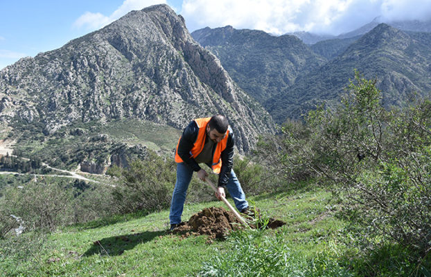 QNET’s Algerian and Moroccan Employees Participate in Conservation Efforts