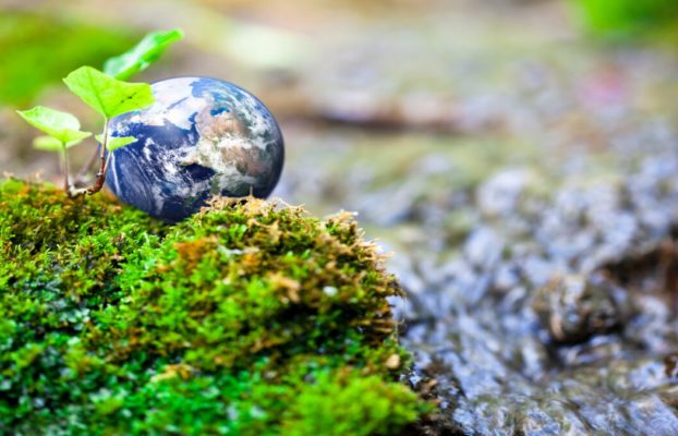 Be the Impact: 9 Ways to Start Protecting the Environment Today