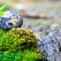 Be the Impact: 9 Ways to Start Protecting the Environment Today