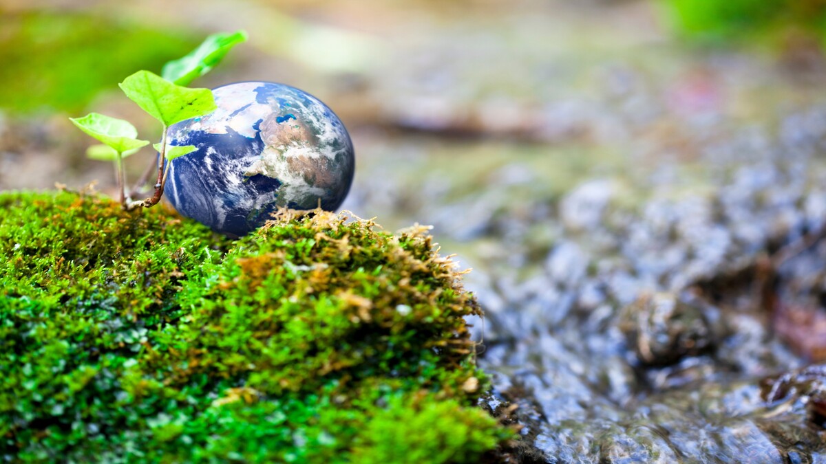 Be the Impact: 9 Ways to Start Protecting the Environment Today