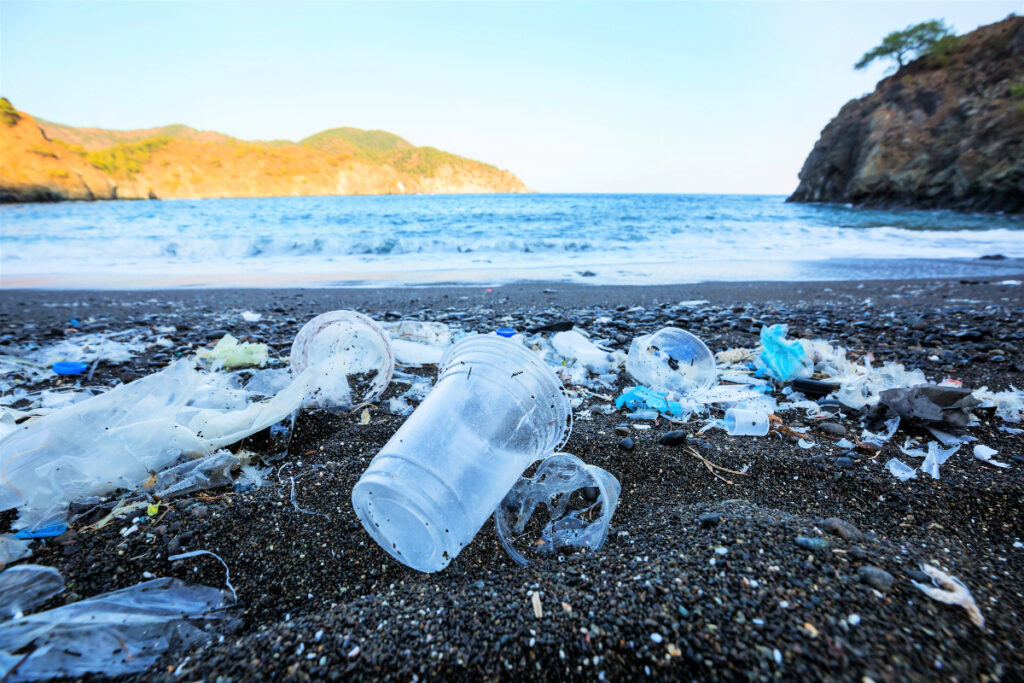 Plastic waste covers a beach, illustrating the effects of pollution on aquatic ecosystems and water quality.