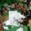 Young Chepang children sit cross-legged inside a modest classroom, gathered around various learning materials.