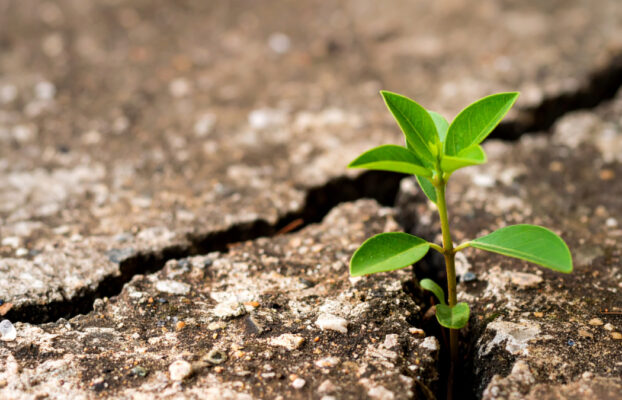 Community in Crisis: 3 Key Actions for a Sustainable Recovery