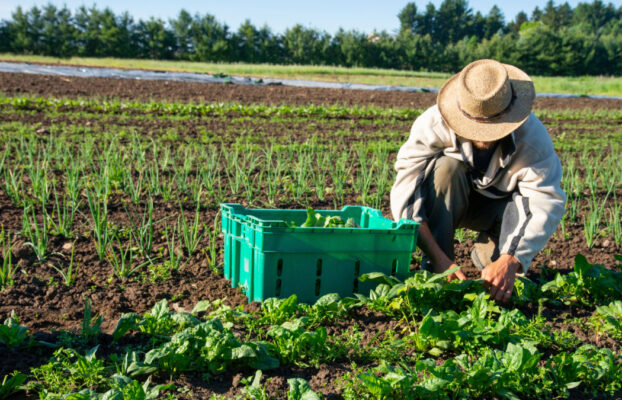 3 Ways Sustainable Resources in Rural Communities Drive Growth and Resilience