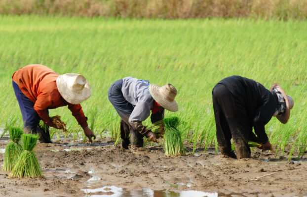 How Farming Impacts the Environment — and How Sustainable Practices Are Driving Solutions