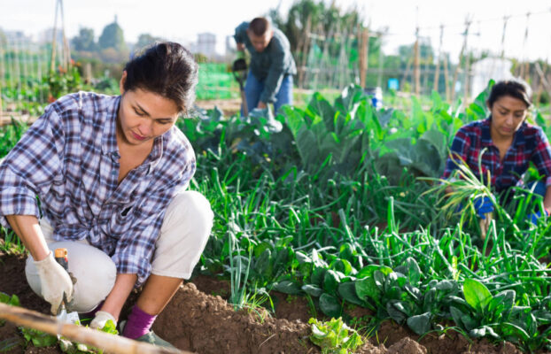 Sustainable Resource Development: How NGOs Build Long-Term Impact