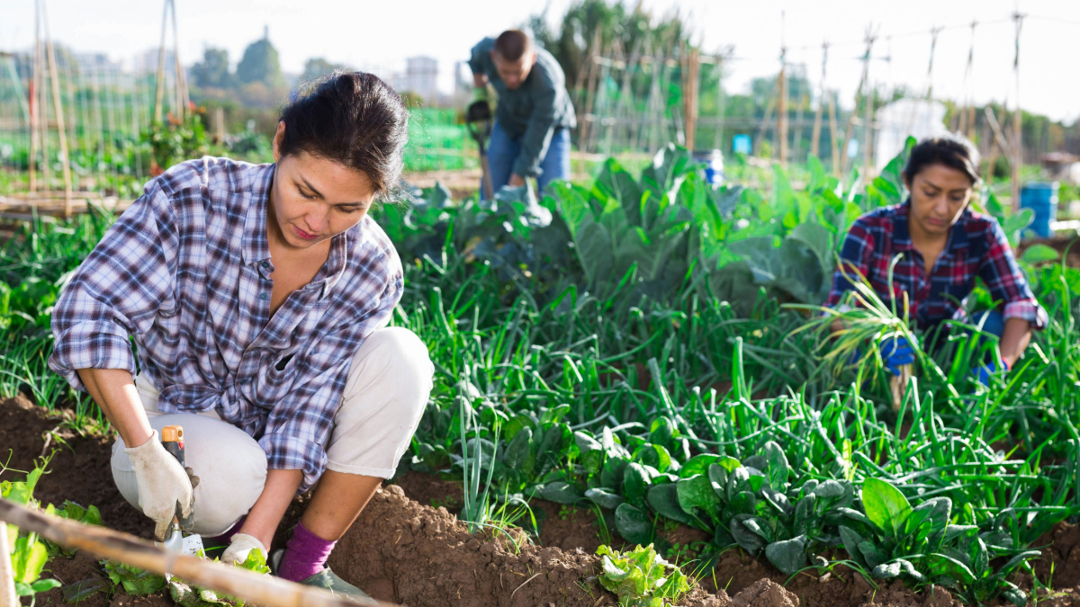 Sustainable Resource Development: How NGOs Build Long-Term Impact