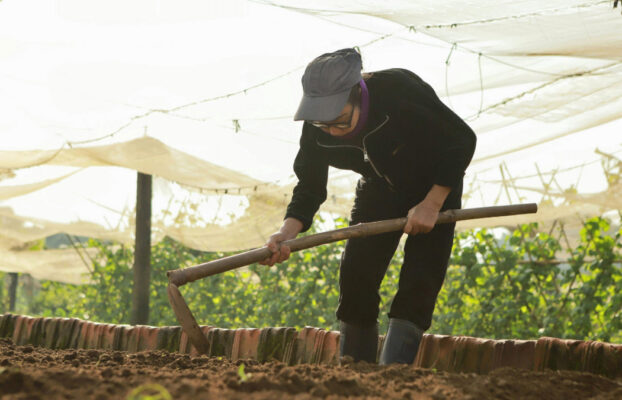 Sustainable Food Security Solutions: How RYTHM is Supporting Growing Families