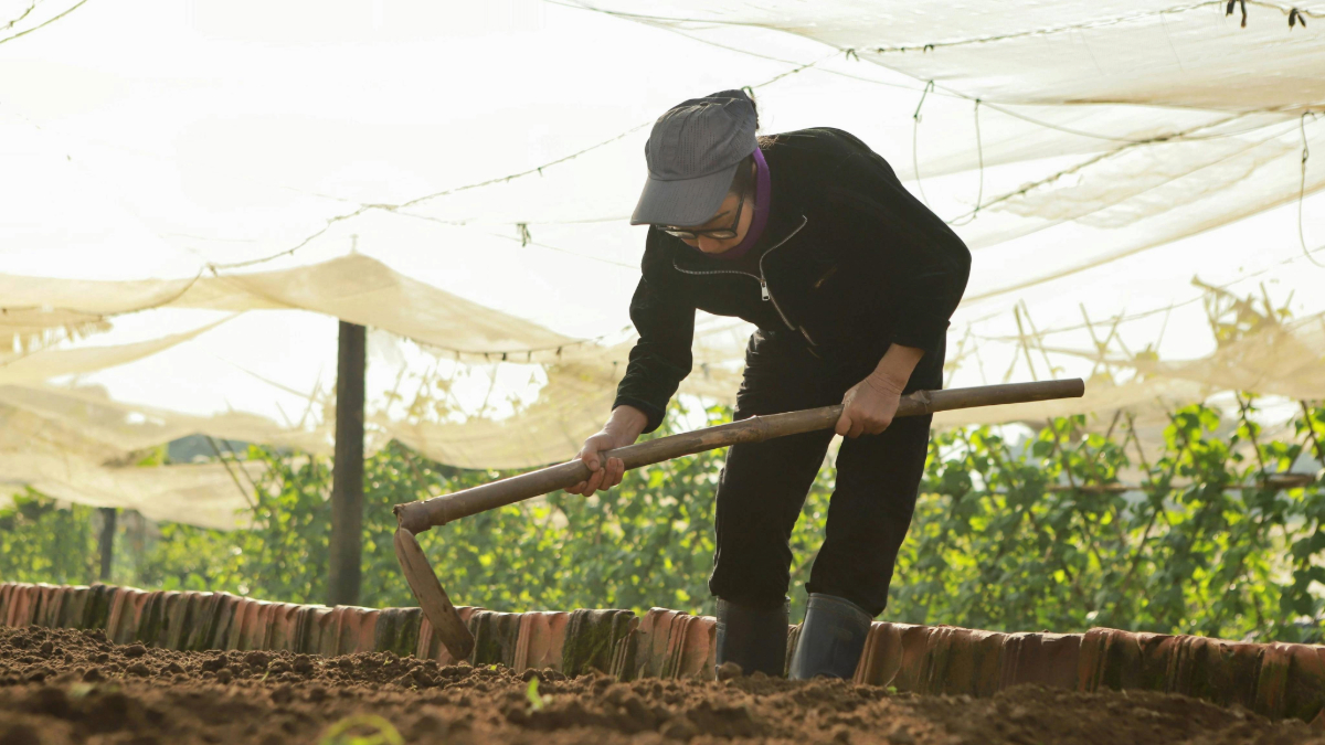 Sustainable Food Security Solutions: How RYTHM is Supporting Growing Families