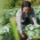 Youth in Agriculture - PLAN Indonesia