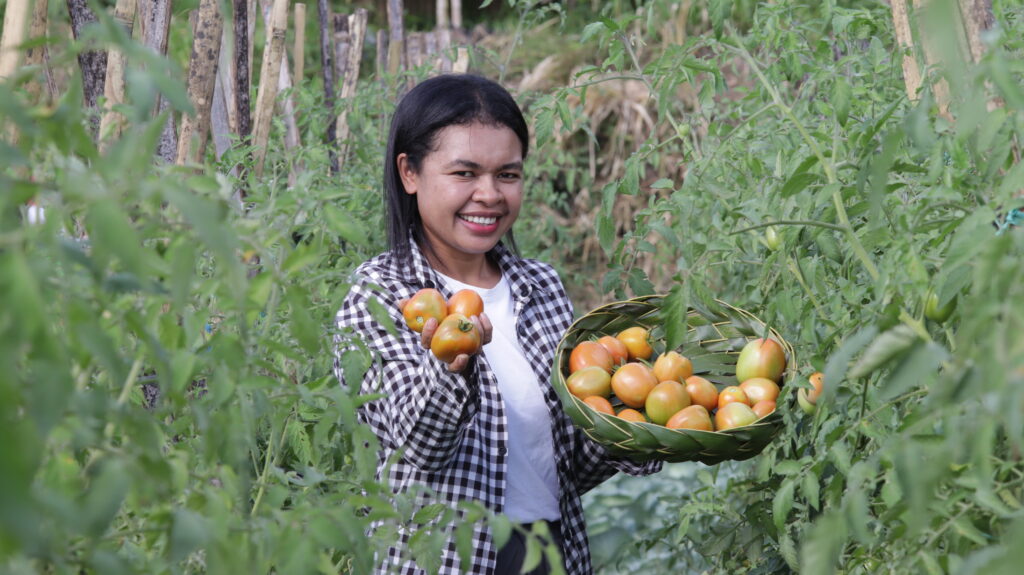 Emilia, one of the programme's youth farmers, proudly shows off the freshly harvested tomatoes from her Green Skills training.