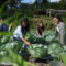 Cultivating the Future: How More Than 200 Young Farmers Are Redefining Agriculture in Indonesia